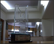 Lifetime achievement award in the field of Engineering 2011